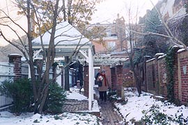 [photo, Garden at H. L. Mencken House, 1524 Hollins St., Baltimore, Maryland]