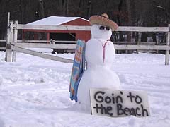[photo, Snowman Goin' to the Beach, Glen Burnie, Maryland]