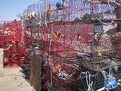 [photo, Crab pots (traps), Chesapeake Beach, Maryland]