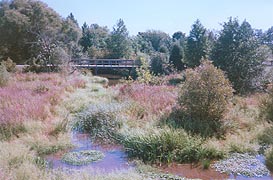[photo, Adkins Arboretum, Tuckahoe State Park, 12610 Eveland Road, Ridgely, Maryland]
